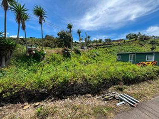 🌿 Venta de Lote 350 m² en Cot, Cartago | Uso de Suelo Mixto | ₡32.000.000 in Cot, Oreamuno, Cartago — 32 000 000 ₡ - Photo 3 of 6