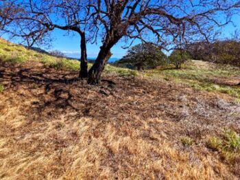 🌄 Lote en venta con vista espectacular – Tajo Alto, Miramar 🌄 in Miramar, Montes De Oro, Puntarenas — 20 000 000 ₡ - Photo 4 of 4