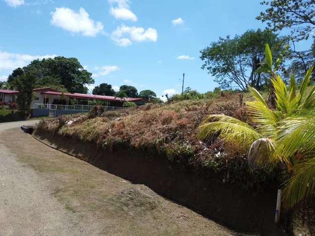 Build Your Dream in Paradise – Flat Jungle Lot with Mountain & Waterfall Views in Puerto Cortés, Osa, Puntarenas — $41,000 - Photo 2 of 28