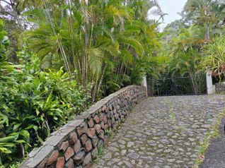 Hermosa quinta estilo campestre en Atenas in Jesús, Atenas, Alajuela — $1,000,000 - Photo 4 of 55