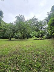 LOTE EN HOME CREEK, LIMON. en Cahuita, Talamanca, Limón — $128,000 - Foto 5 de 8