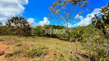 SE VENDE FINCA DE 2.8 HA EN SAN LUIS DE MORETE | VISTA A LA MONTAÑA Y CERCA DEL MAR en San Isidro De El General, Pérez Zeledón, San José — $190,000 - Foto 5 de 25