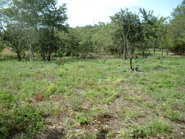 Venta de Finca en Bagaces in Bagaces, Guanacaste — $210,000 - Photo 3 of 12