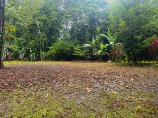 Se vende terreno de 3000 m² a 5 min de Puerto Vargas, Cahuita (PA) in Cahuita, Talamanca, Limón — $240,000 - Photo 2 of 7