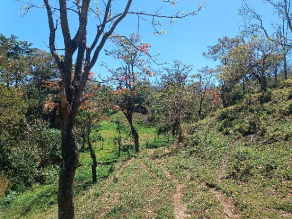 Venta de propiedad El Llano, Desamparados, San José en San Miguel, Desamparados, San José — ₡ 280 000 000