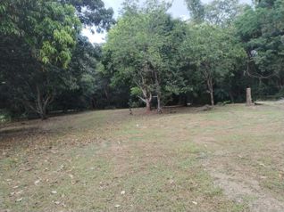 PARCELA EN VENTA EN GUACALILLO | 3.863 M² | P659 en Jacó, Garabito, Puntarenas — 95 000 000 ₡ - Foto 2 de 8