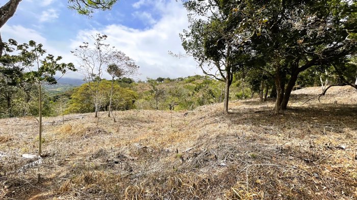 SE VENDE LOTE EN SAN PEDRO, SAN RAMON in San Ramón, Alajuela — $183,000