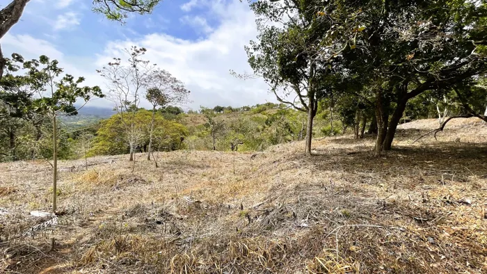 SE VENDE LOTE EN SAN PEDRO, SAN RAMON en San Ramón, Alajuela — $183,000