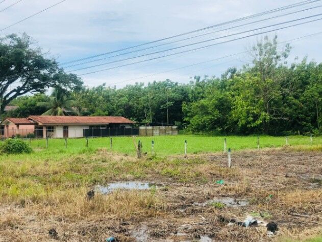 Lote comercial o residencial en Palmar, Osa, Puntarenas — ₡ 18 607 500