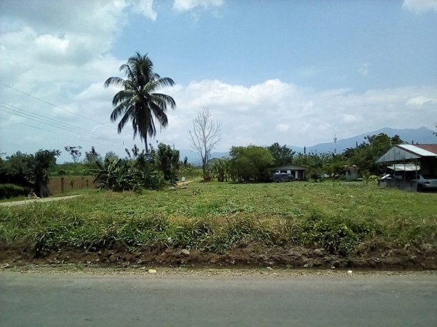 Venta de terreno 1000m2 en La Fortuna, San Carlos, Alajuela — ₡ 35 000 000