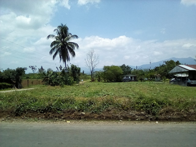 Venta de terreno 1000m2 en La Fortuna, San Carlos, Alajuela — ₡ 35 000 000