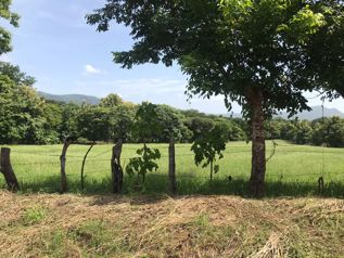 Venta de Lotes, Guanacaste, Nicoya, Barra Honda - Photo 2 of 3