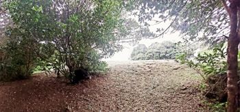 Lote en Residencial El Castillo con bosque en Ángeles, San Rafael, Heredia — 106 000 000 ₡ - Foto 3 de 22