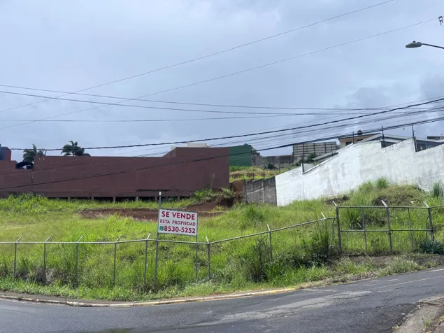 Terreno Ceiba espacioso y bonito en Alajuela — $245,000 - Foto 3 de 7