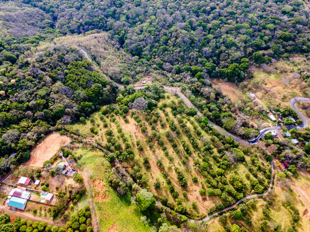 Se Vende Finca de 9 Ha. en Higuito.  Multiples Oportunidades. in San Mateo, Alajuela — $1,350,000