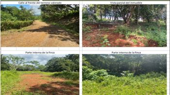 Propiedad En Venta - Quinta Esencia, Esparza en Espíritu Santo, Esparza, Puntarenas — $109,555 - Foto 4 de 6