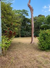 Se vende terreno de 3000 m² a 5 min de Puerto Vargas, Cahuita (PA) in Cahuita, Talamanca, Limón — $240,000 - Photo 4 of 7