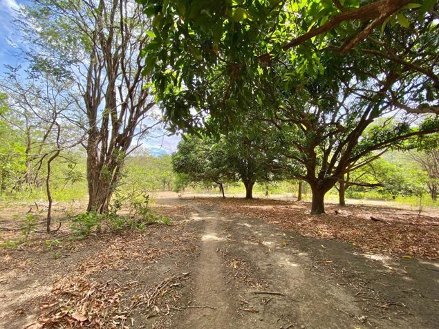 FINCA EN VENTA LIBERIA  GUANACASTE in Liberia, Guanacaste — $2,500,000 - Photo 3 of 30