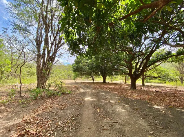 FARM FOR SALE LIBERIA GUANACASTE in Liberia, Guanacaste — $2,500,000 - Photo 3 of 30