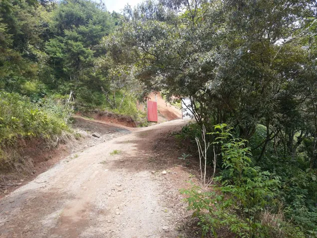 Farm for sale in San Ramón de Alajuela in San Ramón, Alajuela — $560,000 - Photo 3 of 58