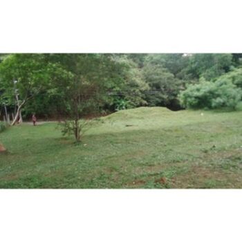 Land For Sale Coyolar, Orotina, Alajuela