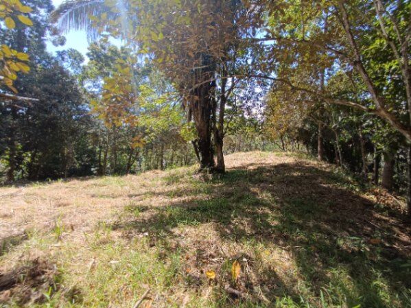 Lote en la montaña ideal para vivir en Parrita, Puntarenas — $19