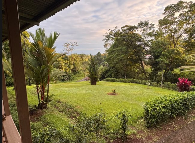 Farm with Beautiful River in Pocora, Guácimo, Limón — ₡ 140 000 000 - Photo 1 of 10