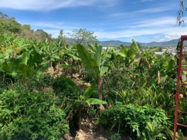 Venta terreno con contenedor habitable y árboles frutales #26-2238 GS en Aguacaliente, Cartago — $136,000
