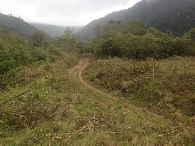 Finca de 28 ha, Valle de OROSI, Cartago in Orosi, Paraíso, Cartago — $850,000