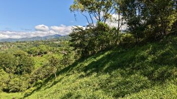 VENTA DE REFUGIO NATURAL DE 3.2 HA EN LAS FALDAS DEL CHIRRIPO en El General, Pérez Zeledón, San José — $142,989 - Foto 5 de 25