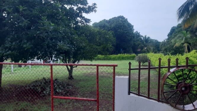 VENTA DE LOTE, ALAJUELA, OROTINA CENTRO - 9984707 in Orotina, Alajuela — ₡ 55 000 000