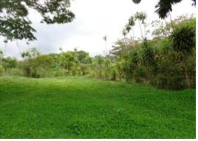 LOTE EN VENTA, GANGA BANCARIA, CAJÓN PÉREZ ZELEDÓN in Cajón, Pérez Zeledón, San José — $59,839