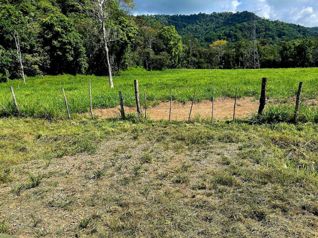 Terreno en Venta en Mata Palo, Quepos en Quepos, Puntarenas — $550,000 - Foto 4 de 8