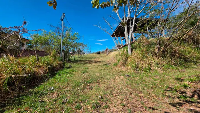 Lot For Sale In Balsa Atenas - Nature, Mountain View en San José, Atenas, Alajuela — ₡ 60 000 000 - Foto 3 de 12