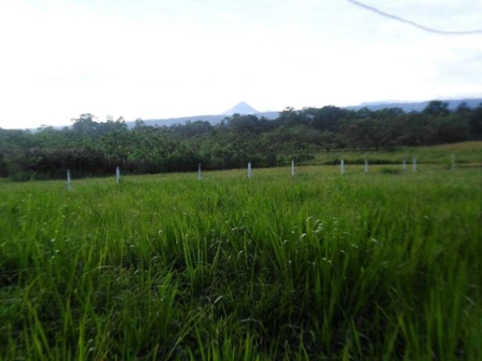 Venta de Lote + Casa en San Carlos-Guatuso, Alajuela. RAH 25-1273 en Katira, Guatuso, Alajuela — ₡ 110 000 000