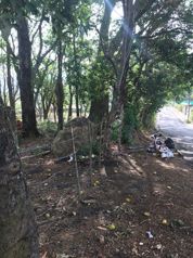 LOT ,LAND EAST SANTA ANA SALITRAL ST in Salitral, Santa Ana, San José — $707,520 - Photo 3 of 8
