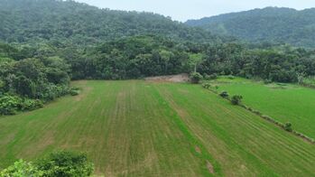SE VENDE FINCA PLANA FRENTE A CARRETERA COSTANERA IDEAL PARA DESARROLLO INMOBILIARIO O TURISTICO en Savegre, Quepos, Puntarenas — $1,100,000 - Foto 4 de 10