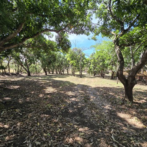 Lote en venta en Alajuela, La Garita. 5PVV8593585 en Garita, Alajuela — ₡ 75 000 000 - Foto 2 de 10