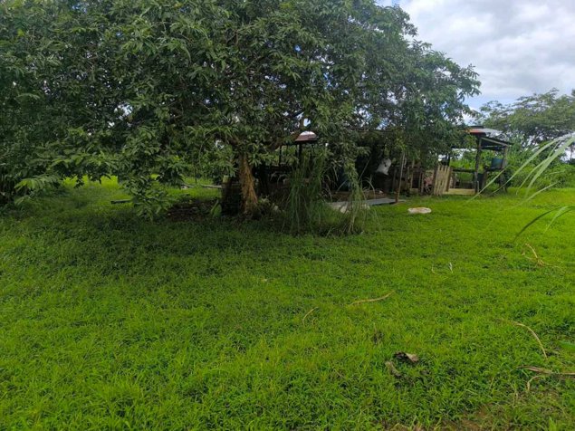 Hermosa Finca en San Ramón de La Virgen de Sarapiquí in La Virgen, Sarapiquí, Heredia — ₡ 90 000 000
