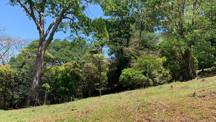 VENTA TERRENO DE DESARROLLO RESIDENCIAL SAN JOSE SANTA ANA en Santa Ana, San José — $1,800,000