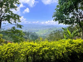 Se Vende Lote en Atenas, Alajuela