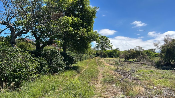 VENTA TERRENO DE DESARROLLO, HEREDIA, SANTO DOMINGO en San Vicente, Santo Domingo, Heredia — $3,784,000 - Foto 2 de 13