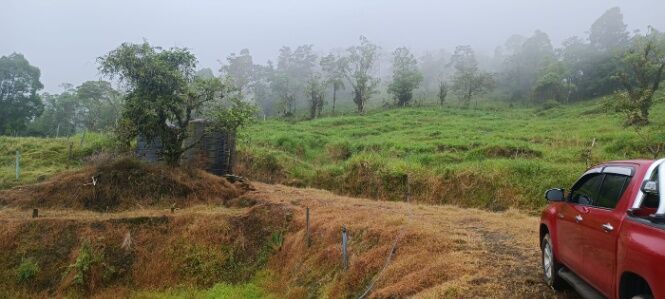 SE VENDE ESPECTACULAR FINCA MULTIUSO EN RÍO CUARTO DE ALAJUELA.  in Río Cuarto, Alajuela — $1,813,000
