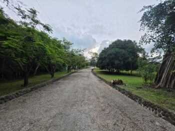 Venta de Lote en Santa Cruz de Guanacaste. RAH 26-559 in Tempate, Santa Cruz, Guanacaste — $60,000 - Photo 4 of 7