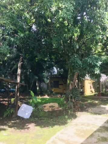 LOTE COMERCIAL A LA VENTA EN BARRIO SAN JOSÉ DE ALAJUELA  en San José, Alajuela — $860,000