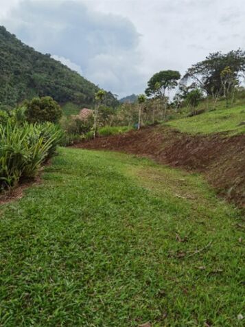  terreno  con 2 terrazas, son 1740 metros  en Tayutic, Turrialba, Cartago — ₡ 14 000 000