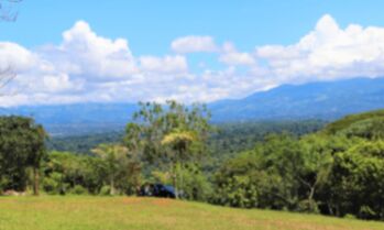 1.4 hectares con vista y cerca de Alta Gracia, Perez Zeledon. en Cajón, Pérez Zeledón, San José — $230,000 - Foto 5 de 14