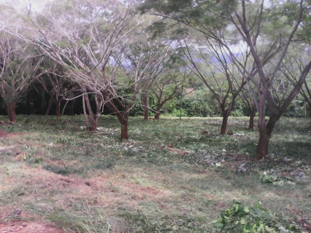 Terreno para quinta en Orotina, 6800m2 en Orotina, Alajuela — $136,000