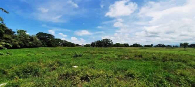 Se vende amplio lote de 7.5 hectáreas en Miramar Puntarenas 23-3495 in Miramar, Montes De Oro, Puntarenas — $3,784,100