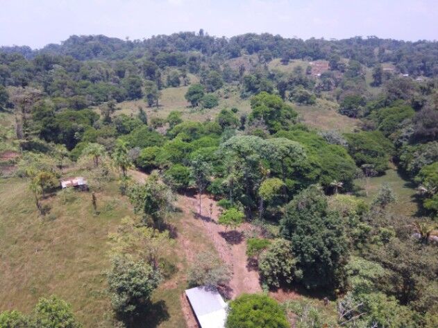 VENTA AMPLIA FINCA GUAPILES PARA GANADO PROYECTOS AGRICOLAS en Guápiles, Pococí, Limón — ₡ 76 800 000